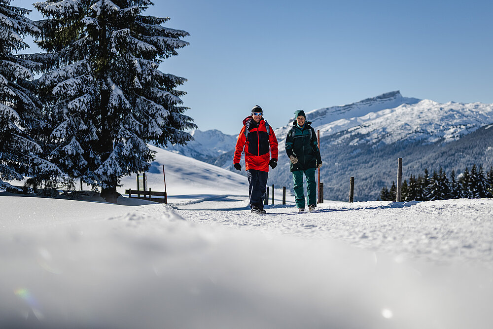 [Translate to Nederlands:] Winterwanderung in Riezlern Tal