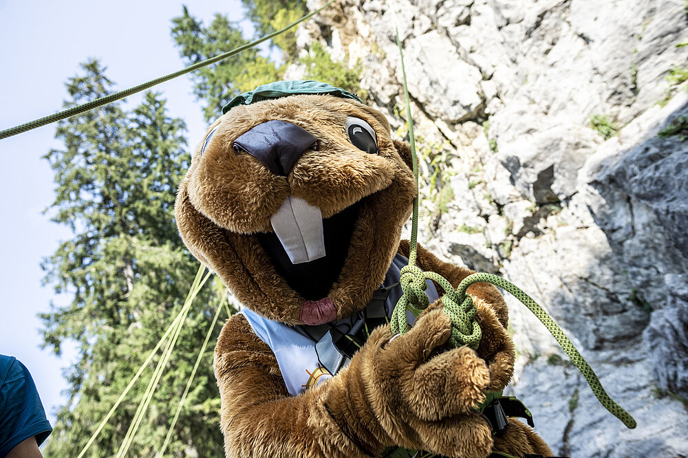 Burmi_im_Klettergarten___Dominik_Berchtold__c__Dominik_Berchtold_-_Kleinwalsertal_Tourismus_eGen
